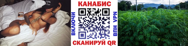 Какие есть наркотики Куртамыш КОКАИН  Меф  Вейп ТГК  СК  АМФЕТАМИН  Галлюциногенные грибы  ОМГ ОМГ онион  ГАШ  Конопля 
