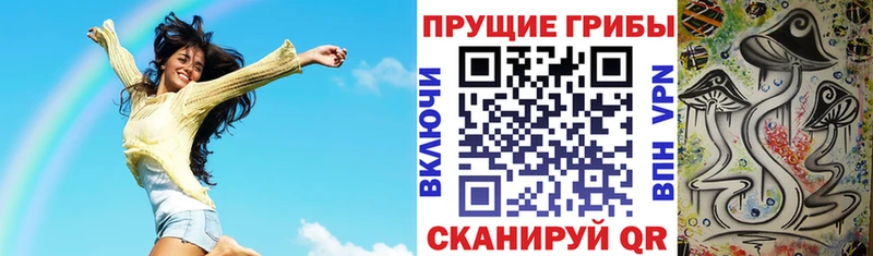 где можно купить наркотик  Куртамыш  Галлюциногенные грибы мухоморы 